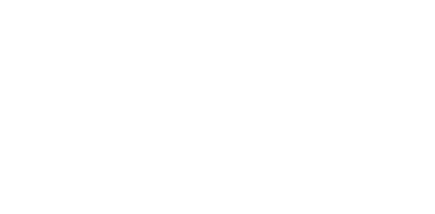 Fondation Hirondelle