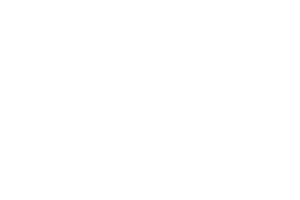 Union Européenne