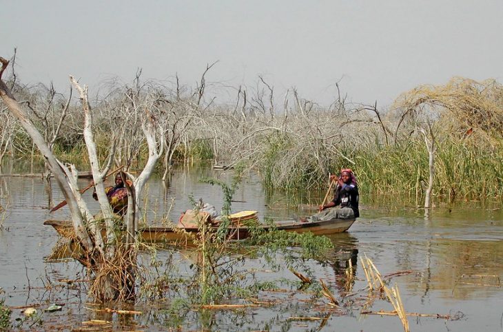 L’impact du changement climatique sur la santé de la population au Niger