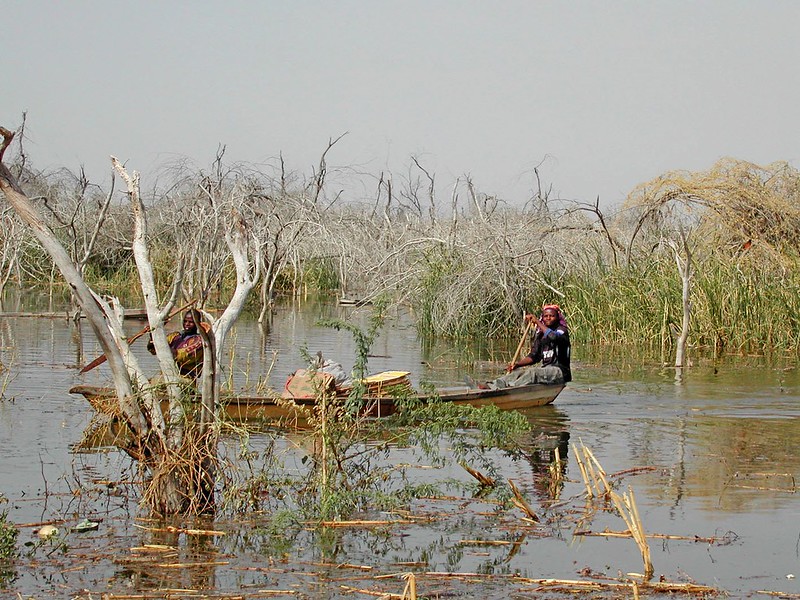 L’impact du changement climatique sur la santé de la population au Niger
