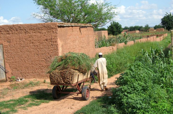 Niger : 1 200 villages agricoles de Zinder déclarés déficitaires