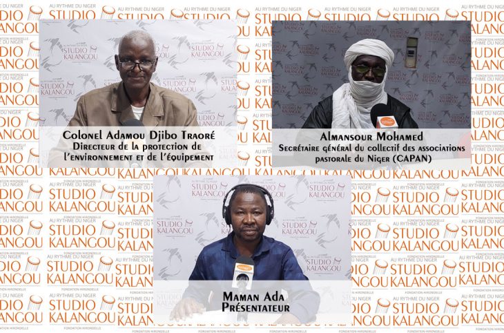  Les feux de brousse au Niger : comment situer les responsables ?