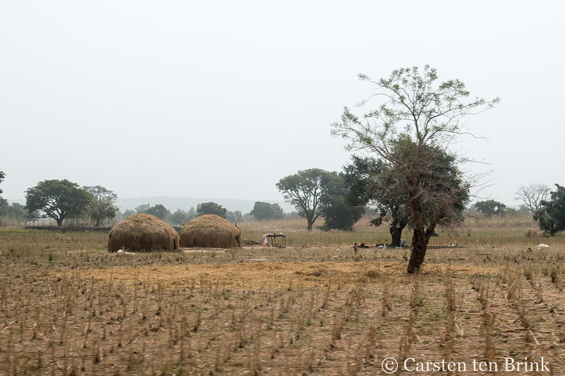 L’impact du changement climatique sur la sécurité alimentaire au Niger