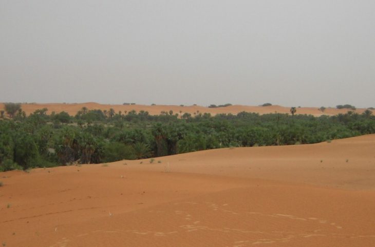 Explication sur la réalisation de la grande  muraille verte au Niger