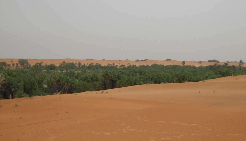 Explication sur la réalisation de la grande  muraille verte au Niger