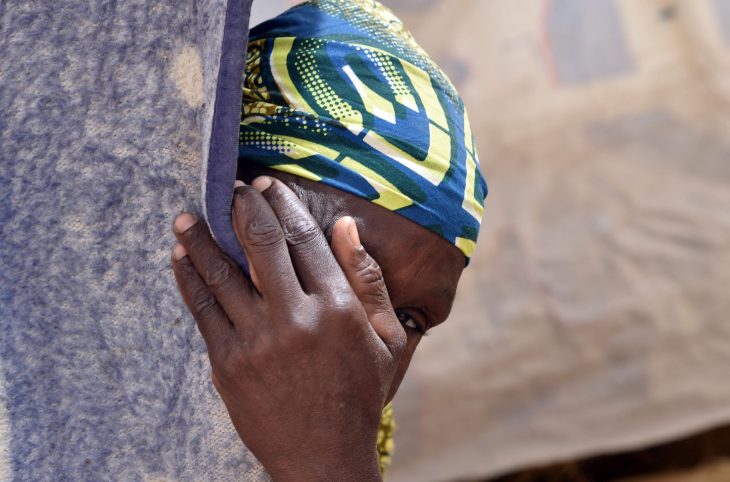 Niger/insécurité: déplacement des populations sur les bandes frontalières du Bénin et du Burkina Faso