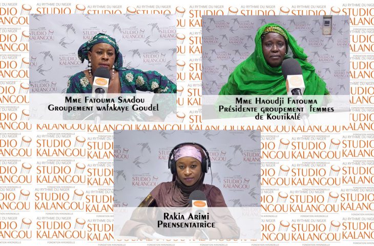  La contribution des groupements féminins pour les Nigériennes 