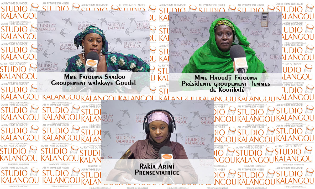  La contribution des groupements féminins pour les Nigériennes 