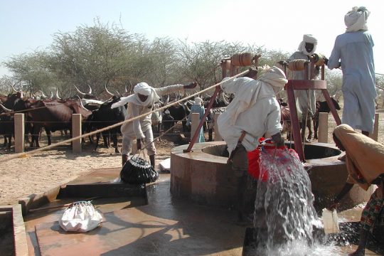 Des éleveurs sur un Puit de Kakaya Kyari