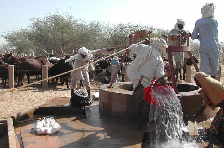 À la découverte du groupe ethnique Boudoumas dans la région de Diffa