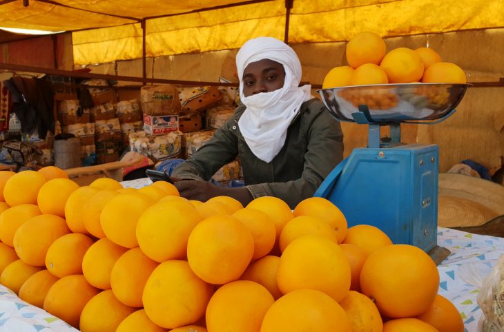 Foire des maraichers d’Agadez : une sècheresse à Timia impacte la production