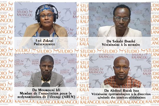 Les invités au forum sur es maladies zoonotiques au Niger.