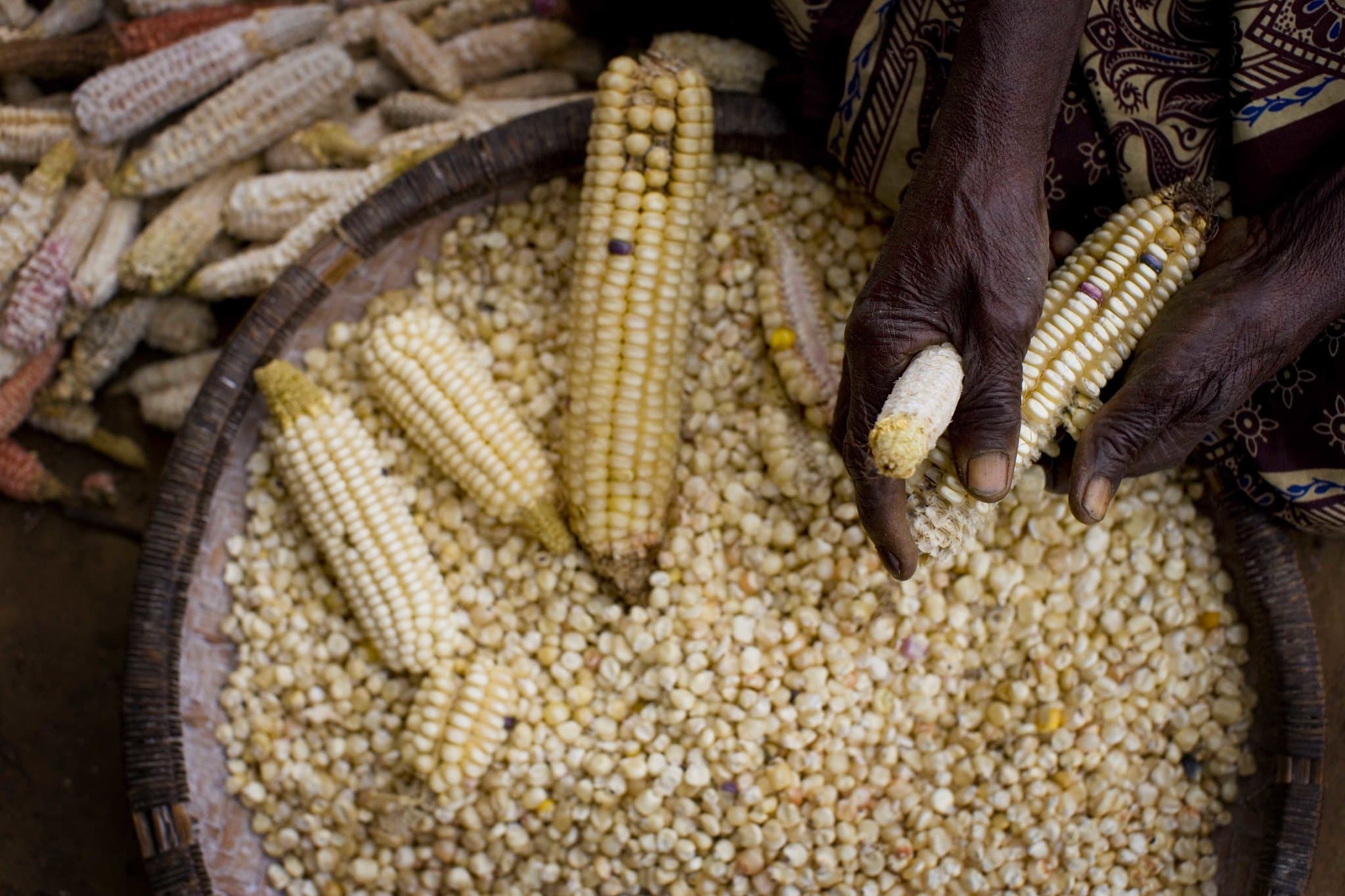 Niger, plus de six millions de personnes seront en insécurité alimentaire