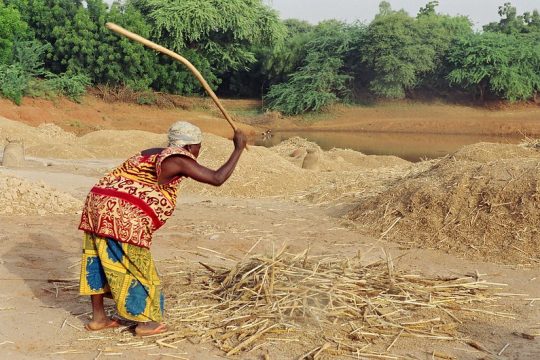 Une femme bat le mil dans le village d'Illela