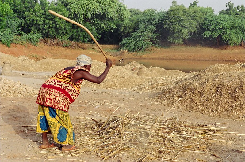 Portrait de Kadi Soumbeyzé femme agricultrice de Dosso