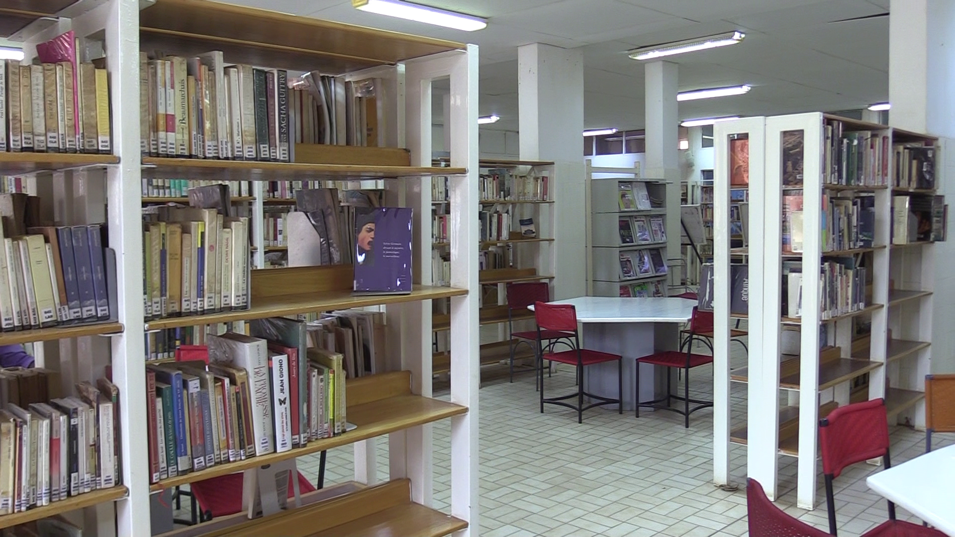 Fréquentation des bibliothèques scolaires a Niamey par les élèves