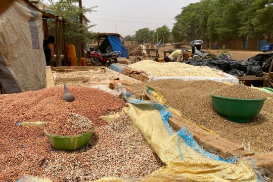 Un étale de mil, de maïs et de sorgho dans le quartier kouara kano à Niamey