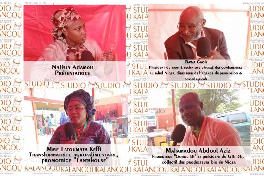 Les invités du forum sur les jeunes entrepreneurs dans la transformation agroalimentaire au Niger
