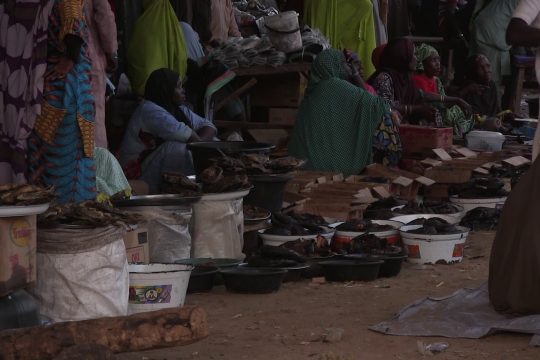 Des femmes vendent du poisson dans un marché de Diffa, le 8 janvier 2021