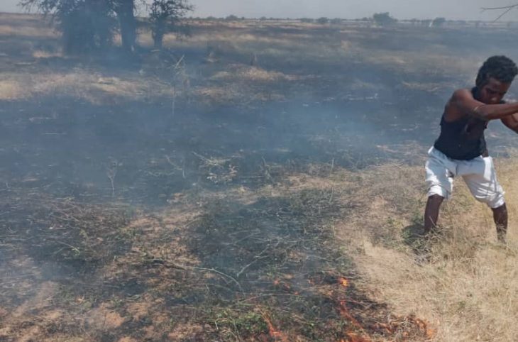 Bilan des feux de brousse dans le département de Tanout