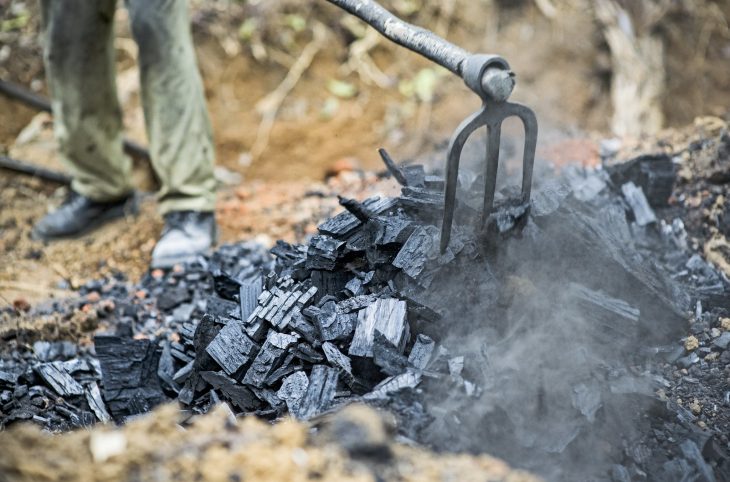 Conditions de production et d’importation du charbon de bois au Niger