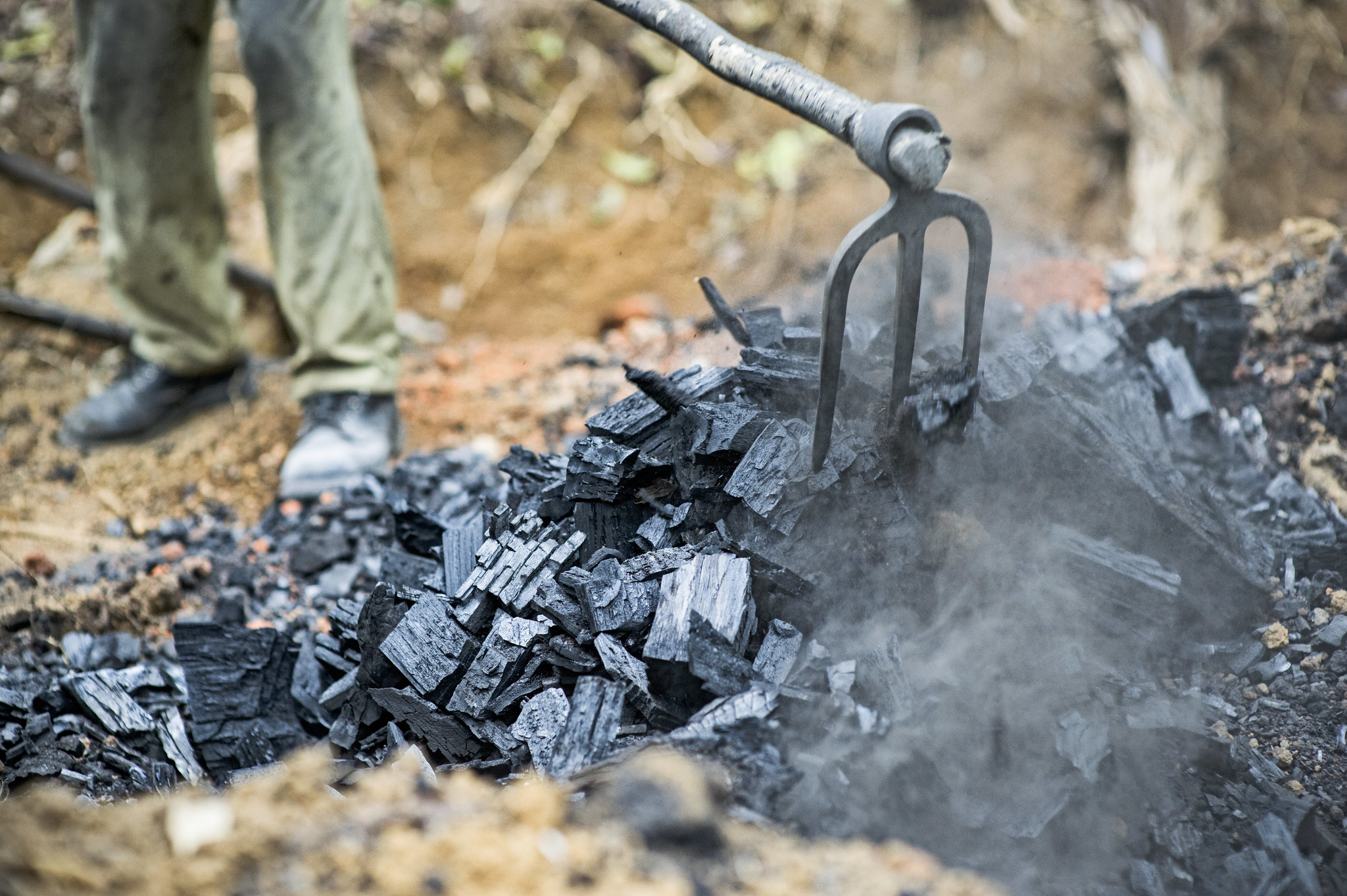Conditions de production et d’importation du charbon de bois au Niger