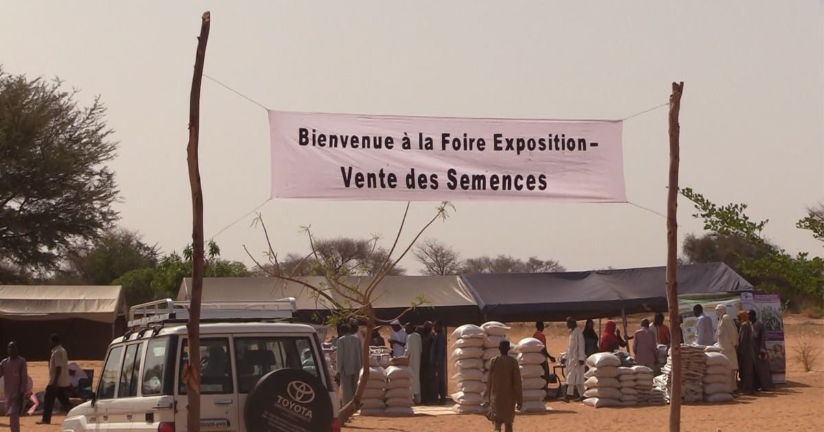 À la découverte de la foire semencière de Doutchi