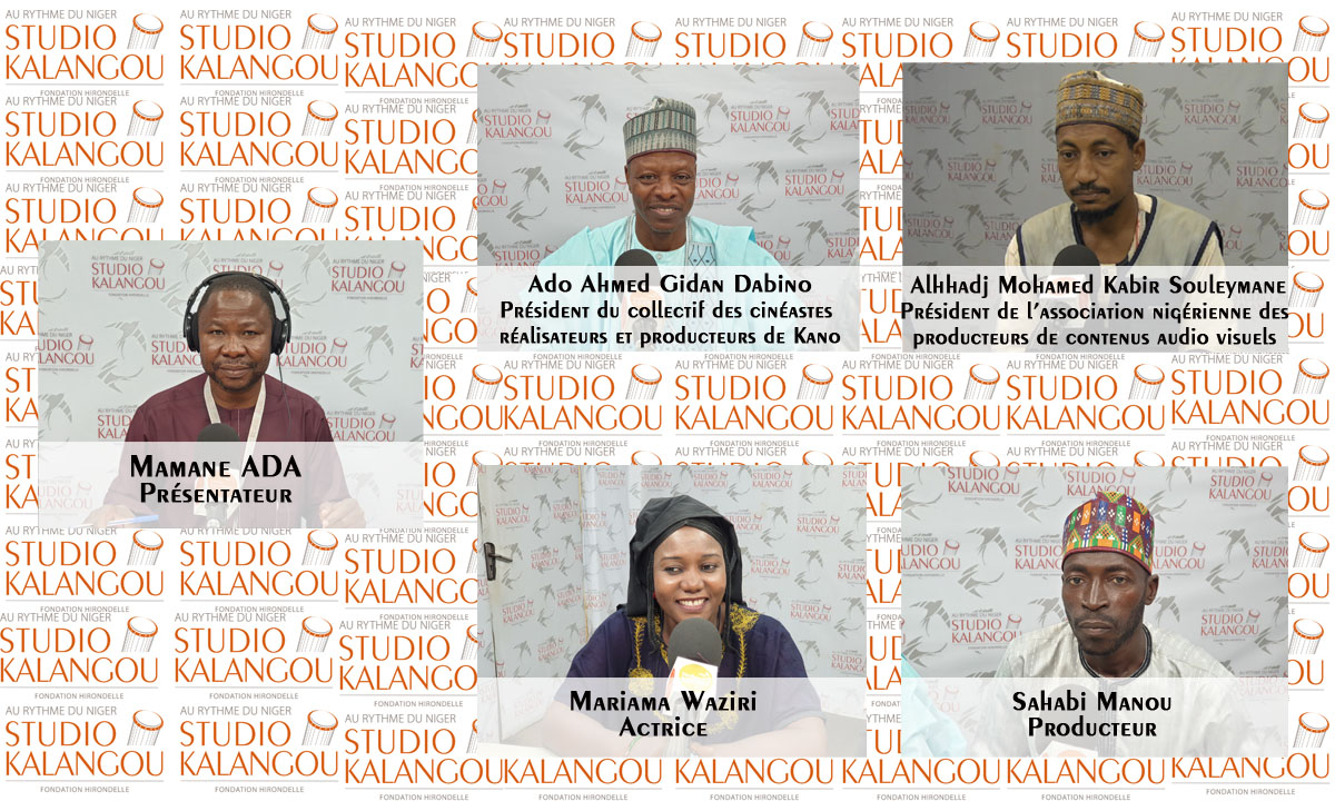 Comment promouvoir le partenariat cinématographique entre le Niger et le Nigéria ?