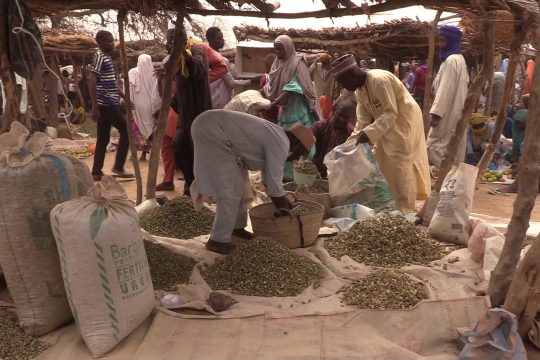 Marché hebdomadaire de Tanout, le 12 mars 2022 / Assoumane Aboubacar / Studio Kalangou