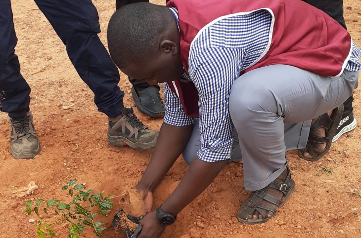Créer des espaces verts à Niamey
