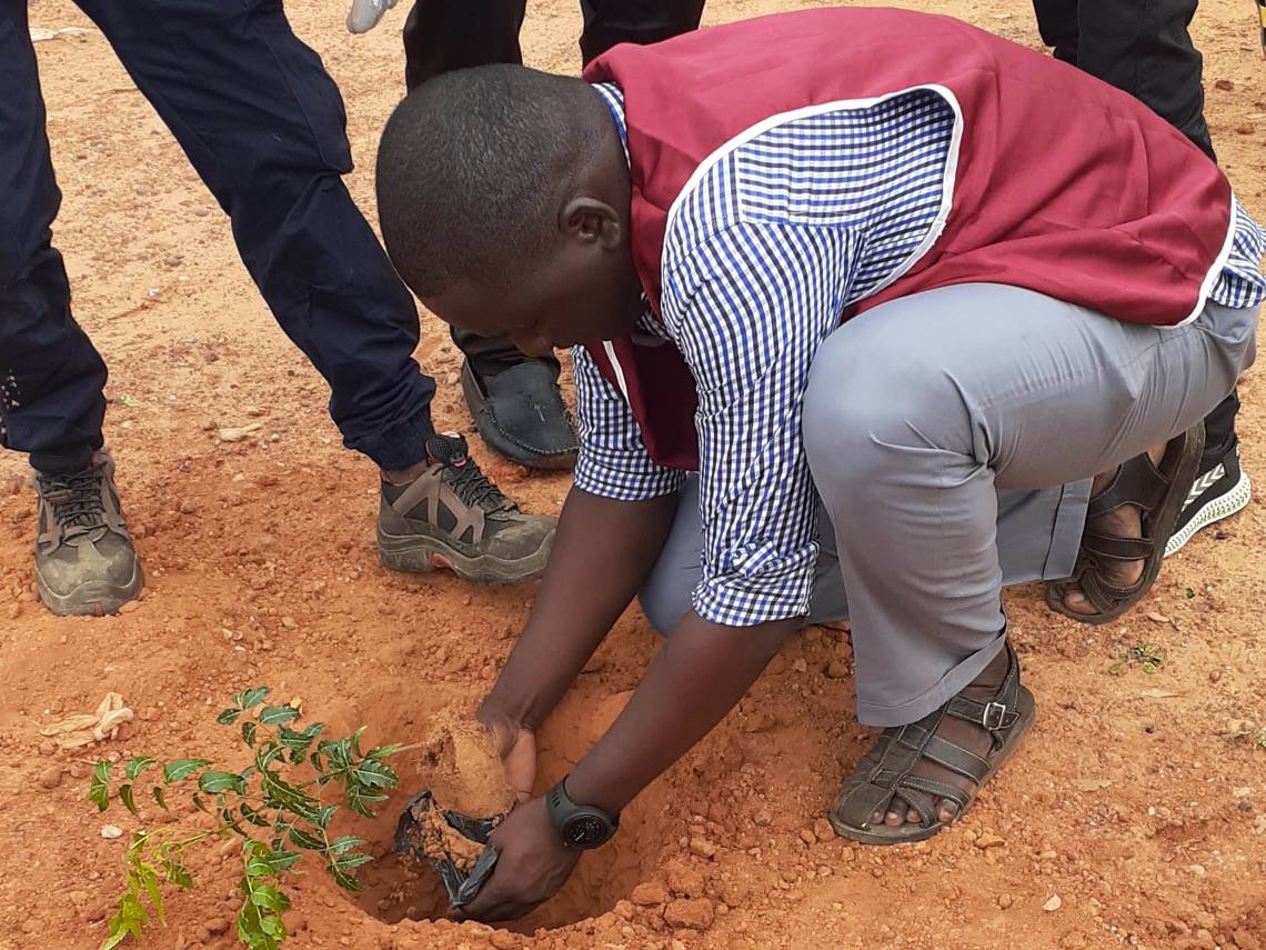 Début ce samedi d’une caravane de plantation d’arbres dans les écoles à Niamey