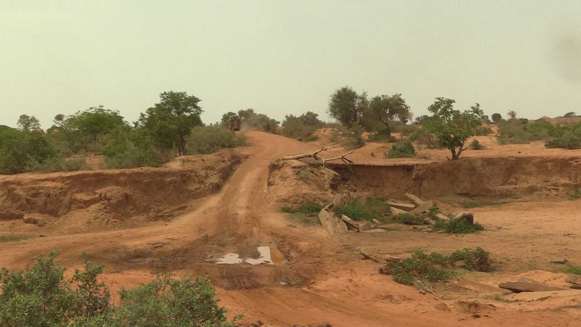 Protection de la vallée de la Tarka dans la région de Maradi