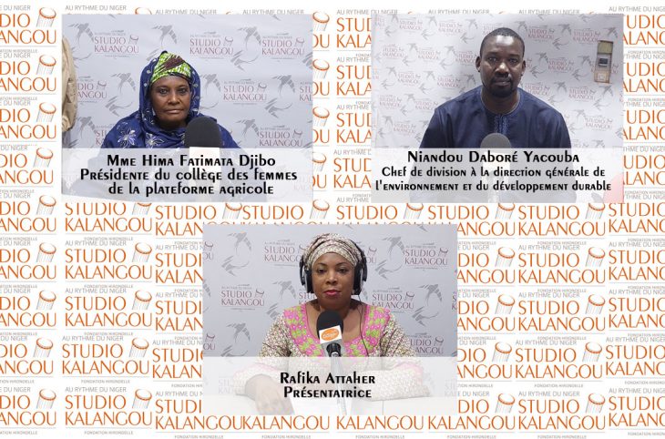 [Rediffusion] Comment les femmes agricultrices s’adaptent elles face au changement climatique au Niger ?