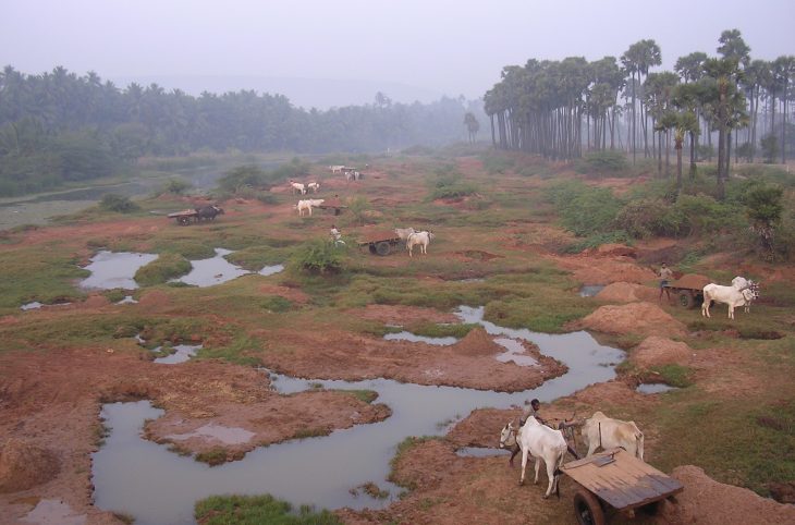 Impact de l’ensablement du Goulbi sur la production agricole à Maradi