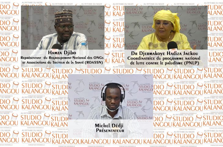 [Rediffusion] Hivernage et paludisme au Niger : comment mettre les populations à l’abri de la maladie ? 