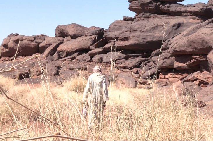 À la découverte du métier de guide dans l’Aïr