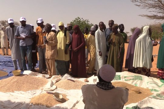 Au Niger, depuis la dernière semaine du mois d’août, est observée une baisse des produits agricoles et horticoles.
