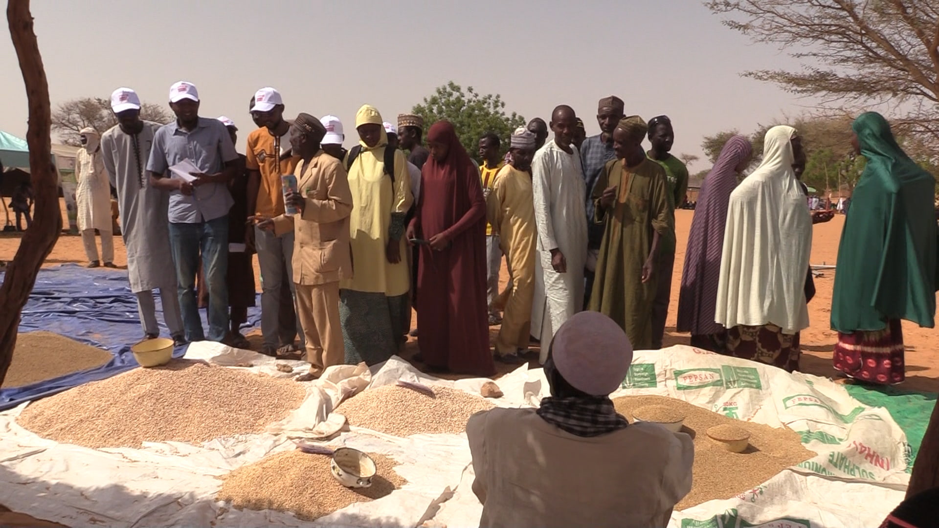 Niger, baisse des prix des produits agricoles et horticoles