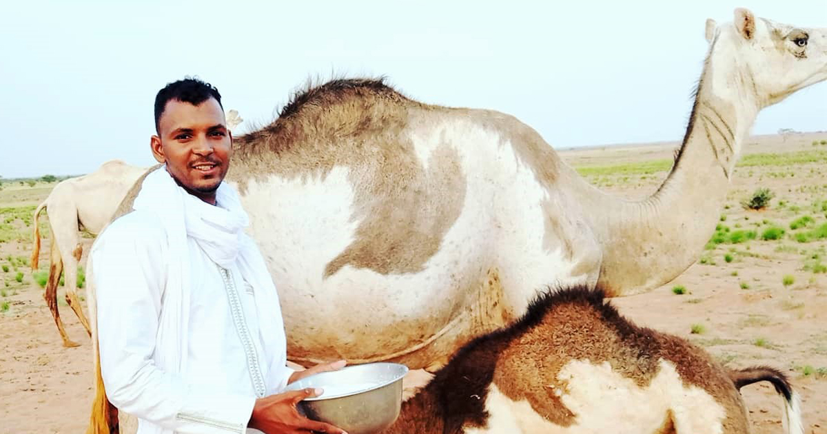 Portrait de Silimane Alhassane Tabane, jeune entrepreneur dans la filière laitière à Agadez