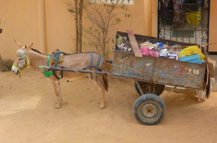 Gestion et valorisation des déchets dans la ville de Maradi