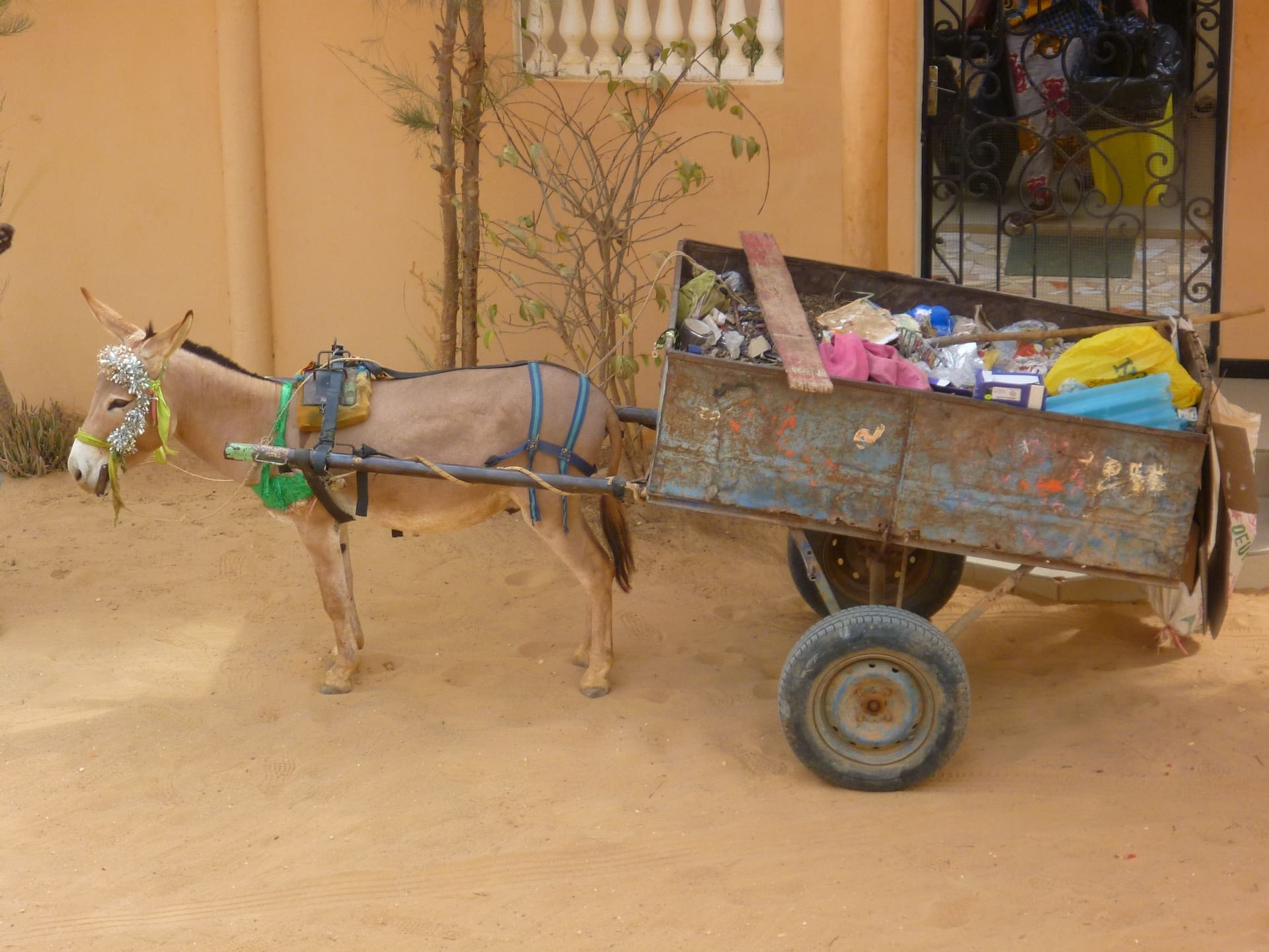 Gestion et valorisation des déchets dans la ville de Maradi