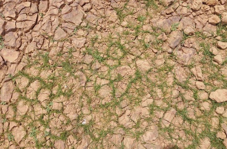 La stratégie nationale de lutte contre le changement climatique au Niger