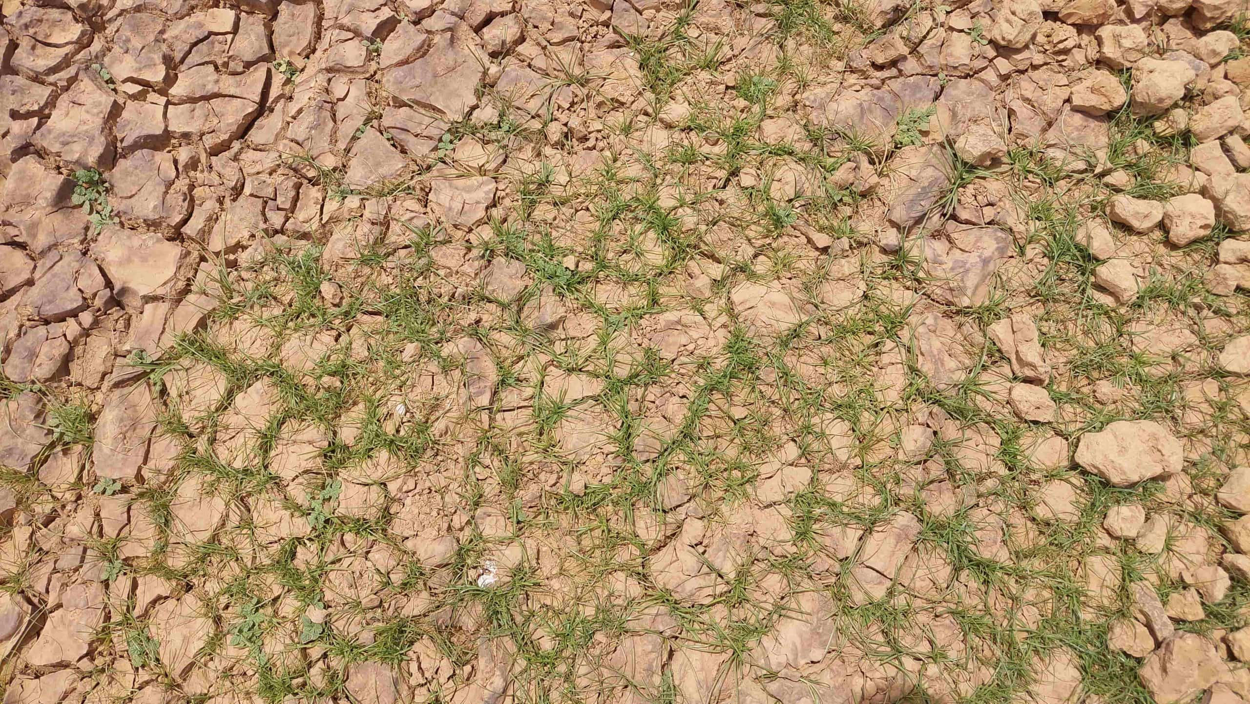 La stratégie nationale de lutte contre le changement climatique au Niger