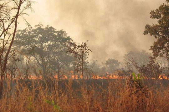 Image d'illustration : feu de brousse sur la route