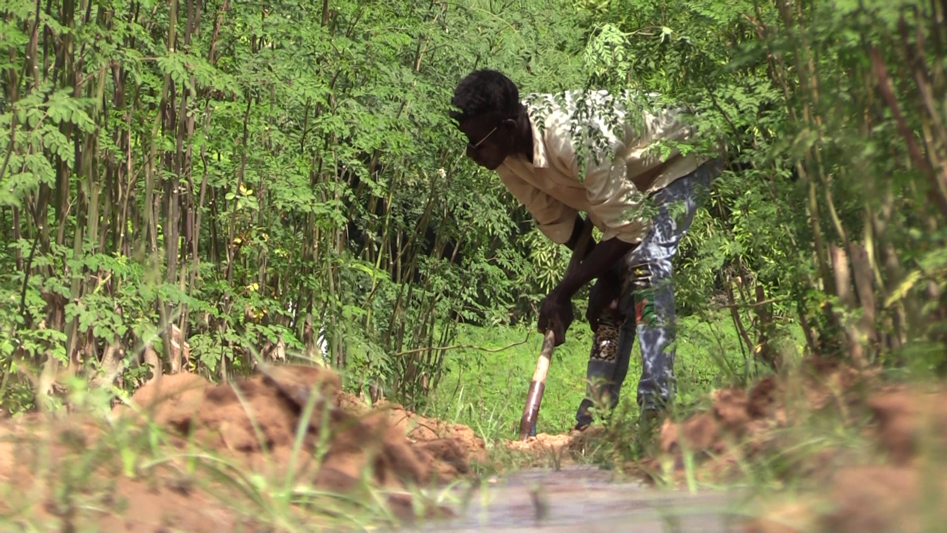 L’ONG Solidali accompagne les maraichers de Néné Goungou dans le 5<sup>ème</sup> arrondissement de Niamey