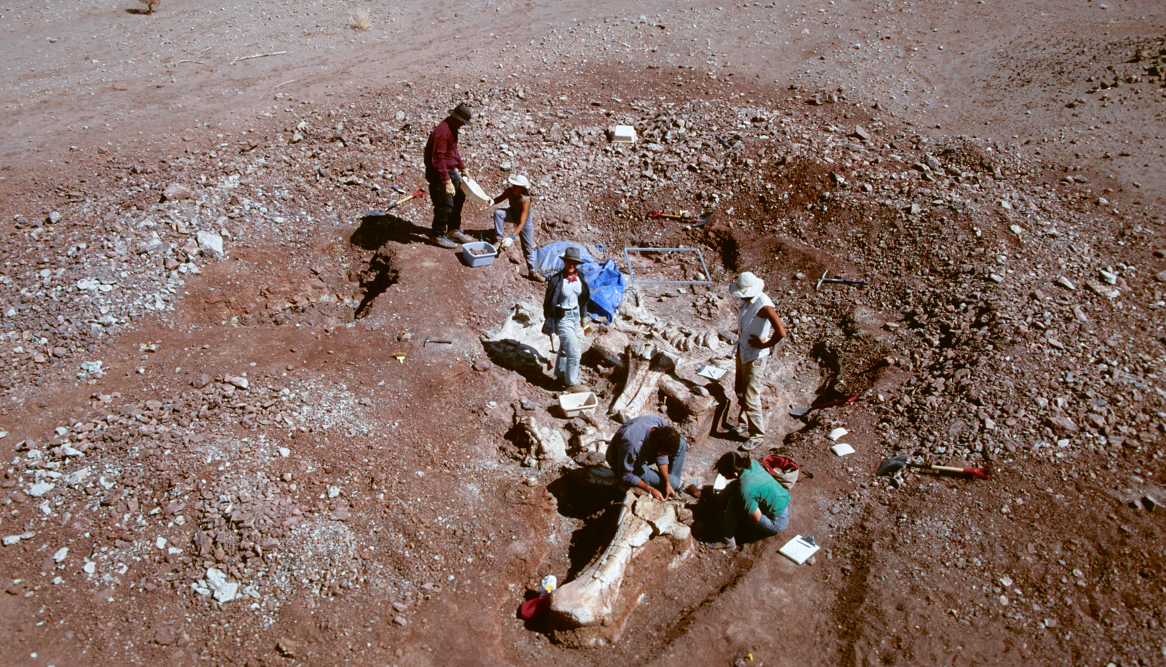 À la découverte de Gadafawa, cimetière des dinosaures