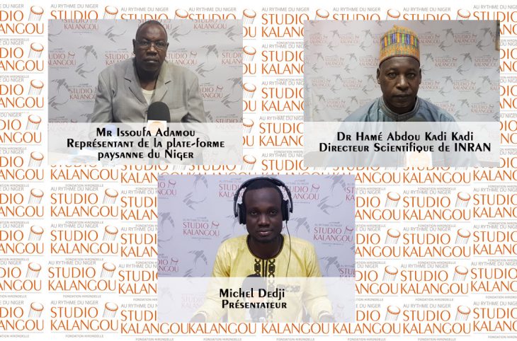 Comment promouvoir les bonnes pratiques pour une meilleure  conservation des récoltes agricoles au Niger ?