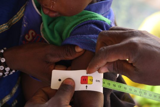 Détection de la malnutrition par les mères au Niger