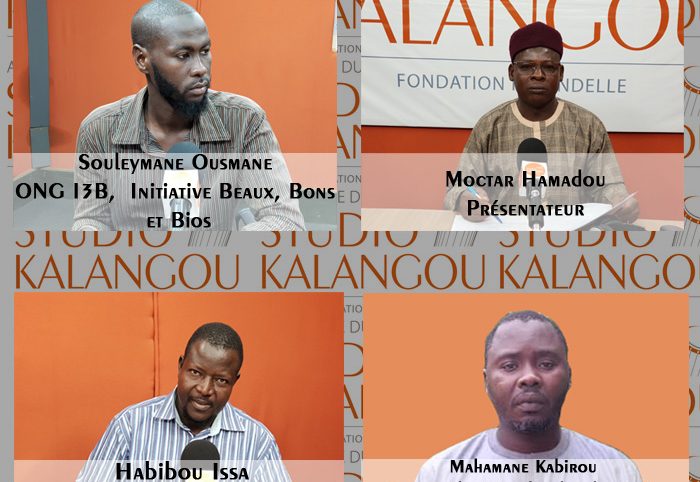 [Rediffusion] Lutte contre l’insécurité alimentaire au Niger : comment intégrer le manioc dans les pratiques agricoles et alimentaires des Nigériens ?