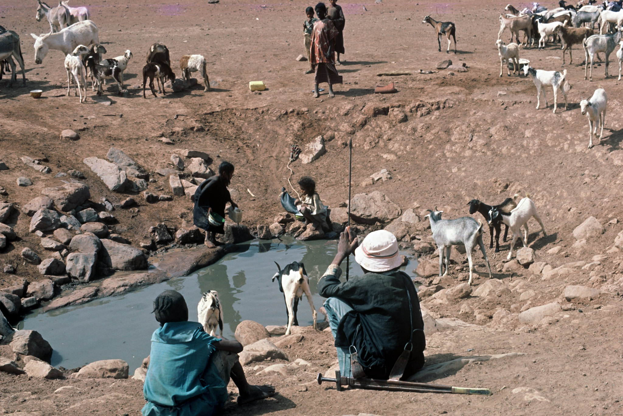 Les conséquences du changement climatique sur l’économie de Bankilaré